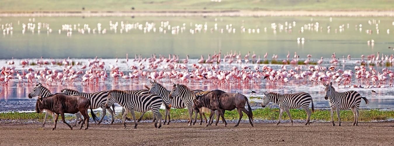 Lake Manyara Park