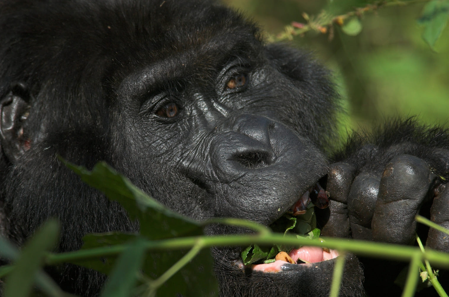 Rwanda